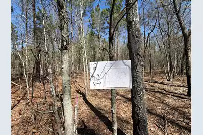 Bhl 9 Boise Cascade #Bhl 9, Bethune, SC 29009 - Photo 20