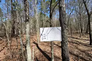 Bhl 9 Boise Cascade #Bhl 9, Bethune, SC 29009 - Photo 20