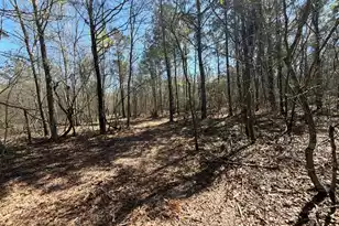 Bhl 9 Boise Cascade #Bhl 9, Bethune, SC 29009 - Photo 42