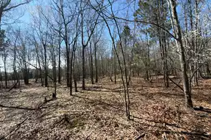 Bhl 9 Boise Cascade #Bhl 9, Bethune, SC 29009 - Photo 14