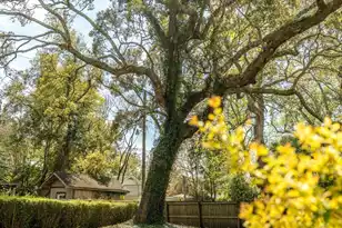 39 Riverdale Dr, Charleston, SC 29407 - Photo 38