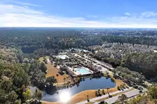 1617 William Hapton Way, Mount Pleasant, SC 29466 - Photo 62