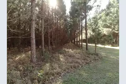 0 Polk Road, Islandton, SC 29929 - Photo 12