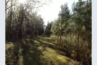 0 Polk Road, Islandton, SC 29929 - Photo 14