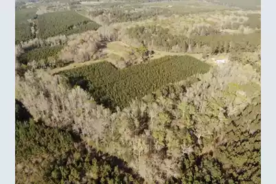 0 Polk Road, Islandton, SC 29929 - Photo 6