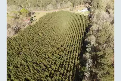 0 Polk Road, Islandton, SC 29929 - Photo 10