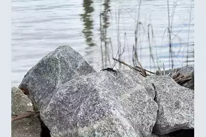 213 Ashmont Drive, Wando, SC 29492 - Photo 42