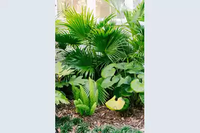 1710 Atlantic Avenue, Sullivans Island, SC 29482 - Photo 48