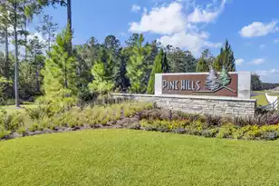 665 Silver Spruce St, Summerville, SC 29486 - Photo 28