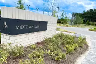 422 Swaying Pne Ln, Summerville, SC 29486 - Photo 42