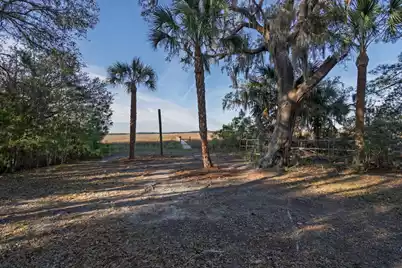 7717 White Point Road, Adams Run, SC 29426 - Photo 4