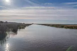 7717 White Point Rd, Adams Run, SC 29426 - Photo 34