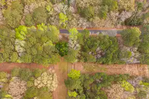 7717 White Point Rd, Adams Run, SC 29426 - Photo 90