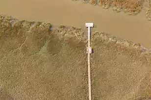 7717 White Point Rd, Adams Run, SC 29426 - Photo 78