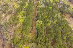 7717 White Point Rd, Adams Run, SC 29426 - Photo 86