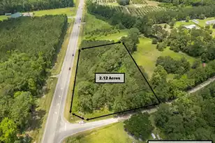 0 Hwy 78, Ridgeville, SC 29472 - Photo 14