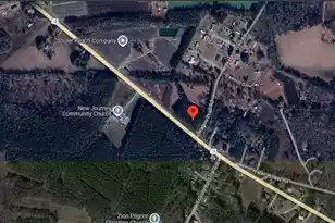0 Hwy 78, Ridgeville, SC 29472 - Photo 6