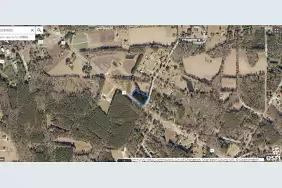 0 Hwy 78, Ridgeville, SC 29472 - Photo 4