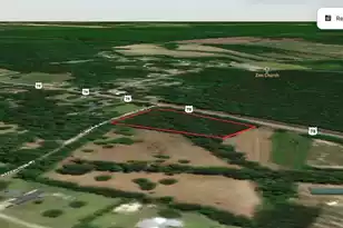 0 Hwy 78, Ridgeville, SC 29472 - Photo 8