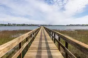 2337 Brackish Dr, Mount Pleasant, SC 29466 - Photo 50