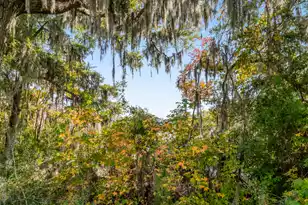 1510 Cecile St #F-1, Mount Pleasant, SC 29464 - Photo 40