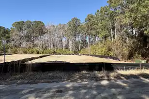 3864 Abe White Rd, Awendaw, SC 29429 - Photo 1