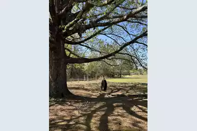 1830 Goslin Pond Rd, Summerton, SC 29148 - Photo 2