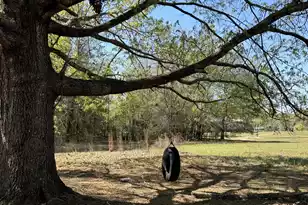 1830 Goslin Pond Rd, Summerton, SC 29148 - Photo 2