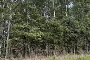 0 University Dr Lot 222, North Charleston, SC 29418 - Photo 1