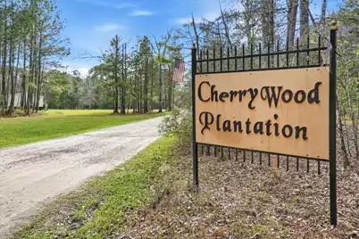 151 Della Lane, Dorchester, SC 29437 - Photo 36