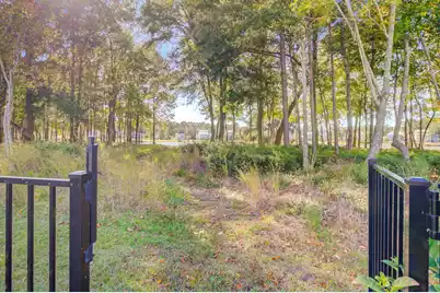 1780 Bolden Drive, Mount Pleasant, SC 29466 - Photo 94