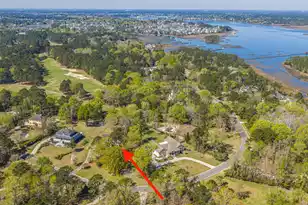3930 Colonel Vanderhorst Cir, Mount Pleasant, SC 29466 - Photo 44