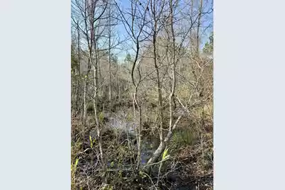 1 Westbury Road, Saint George, SC 29477 - Photo 22