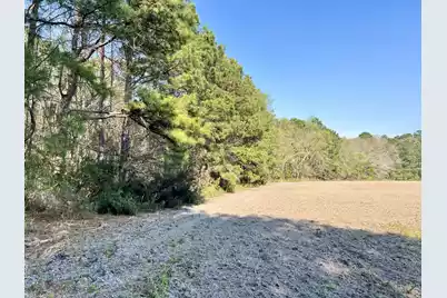 1 Westbury Road, Saint George, SC 29477 - Photo 12