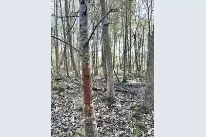 1 Westbury Road, Saint George, SC 29477 - Photo 18