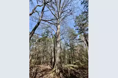 1 Westbury Road, Saint George, SC 29477 - Photo 14