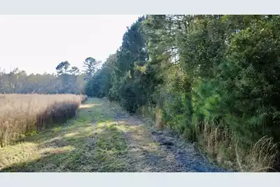 1 Westbury Road, Saint George, SC 29477 - Photo 6