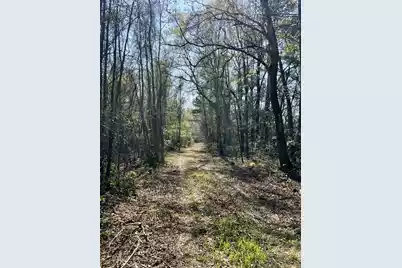 1 Westbury Road, Saint George, SC 29477 - Photo 2