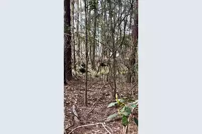 1 Westbury Road, Saint George, SC 29477 - Photo 16