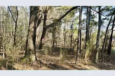 1 Westbury Road, Saint George, SC 29477 - Photo 4