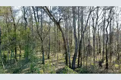 1 Westbury Road, Saint George, SC 29477 - Photo 28