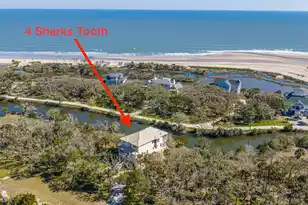4 Sharks Tooth Cir, Edisto Island, SC 29438 - Photo 48