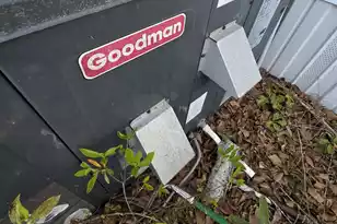 8510 Lodge Hwy, Lodge, SC 29082 - Photo 48