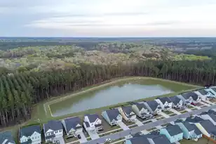 223 Summer Tanager Dr, Ravenel, SC 29470 - Photo 38