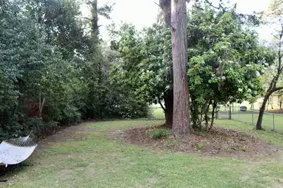 460 Hampton Street, Elloree, SC 29047 - Photo 10