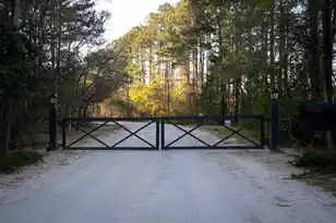 6042 Pawlett Blake Ln, Wadmalaw Island, SC 29487 - Photo 86