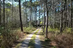 6042 Pawlett Blake Ln, Wadmalaw Island, SC 29487 - Photo 84