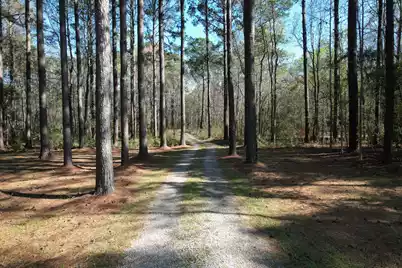 6042 Pawlett Blake Lane, Wadmalaw Island, SC 29487 - Photo 88