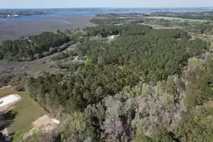 6042 Pawlett Blake Ln, Wadmalaw Island, SC 29487 - Photo 84