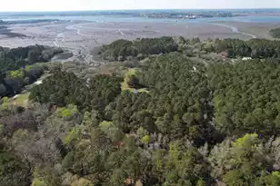 6042 Pawlett Blake Ln, Wadmalaw Island, SC 29487 - Photo 82